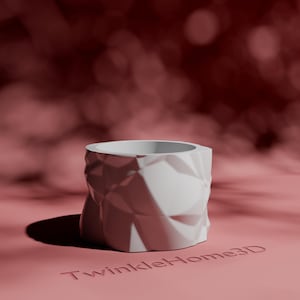 Puede incluir: Una maceta blanca con un patrón geométrico y una abertura ancha. La maceta tiene un diseño facetado y se encuentra sobre una superficie rosa. El texto "TwinkleHome3D" es visible en la parte inferior. El fondo es borroso y de color granate.