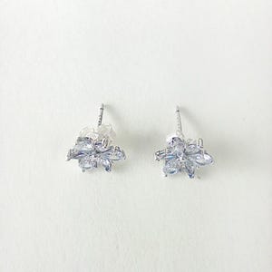 pandora sparkling herbarium cluster stud earrings