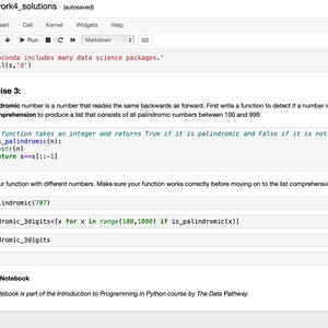 May include: Screenshot of a Jupyter Notebook with Python code. The notebook displays code for identifying palindromic numbers, including a function definition and examples. The text includes "Exercise 3" and "End of Notebook".