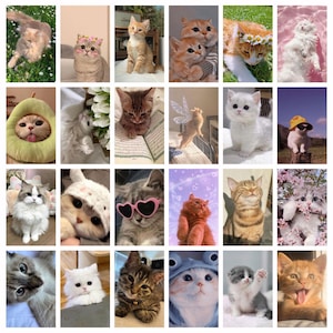 May include: A collage of 20 images featuring various cats in different poses and settings. The cats display a range of colors, including orange, gray, and white, and some are wearing accessories like sunglasses and flower crowns. The images are arranged in a grid.