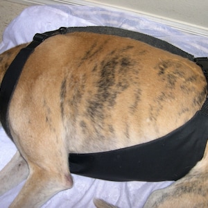 Op de afbeelding: Een zwart hondenharnas met een gevoerd borststuk en verstelbare banden. Het harnas is ontworpen om het gewicht gelijkmatig over de borst en schouders van de hond te verdelen.