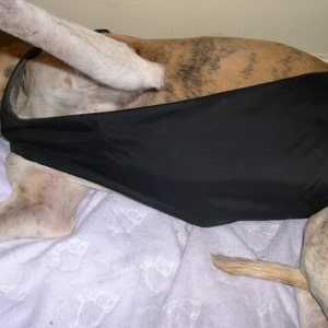 Greyhound Assistance Harness image 6