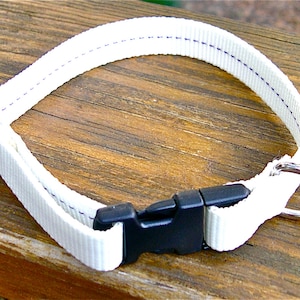 3/4 Inch WIde Glow-in-the-dark Tag Collar