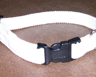 3/4" Braided Glow-in-the-Dark Dog Tag Collar