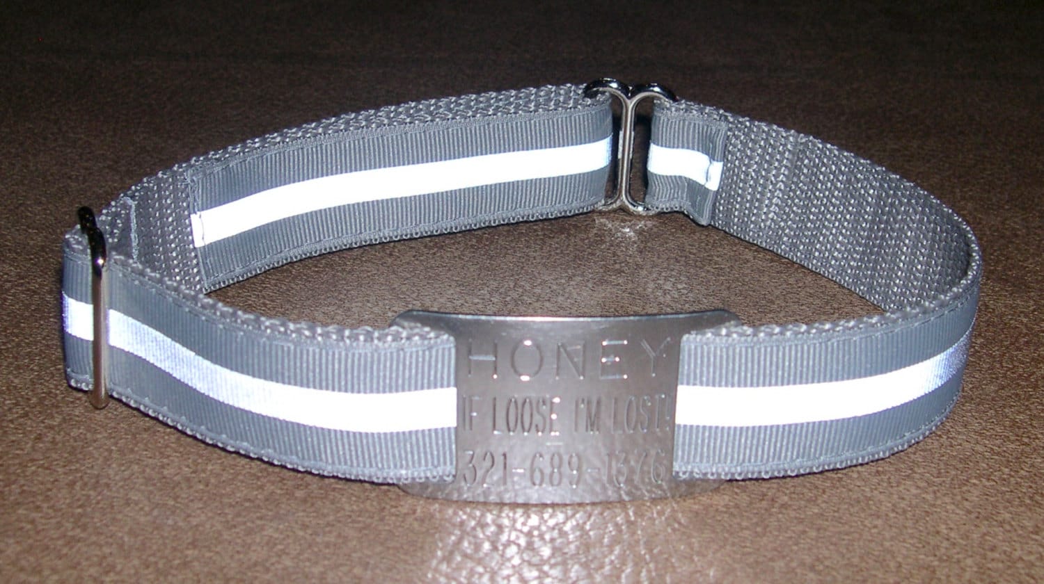 1 Custom ID Tag Reflective Dog Collar NO Buckle Style Etsy