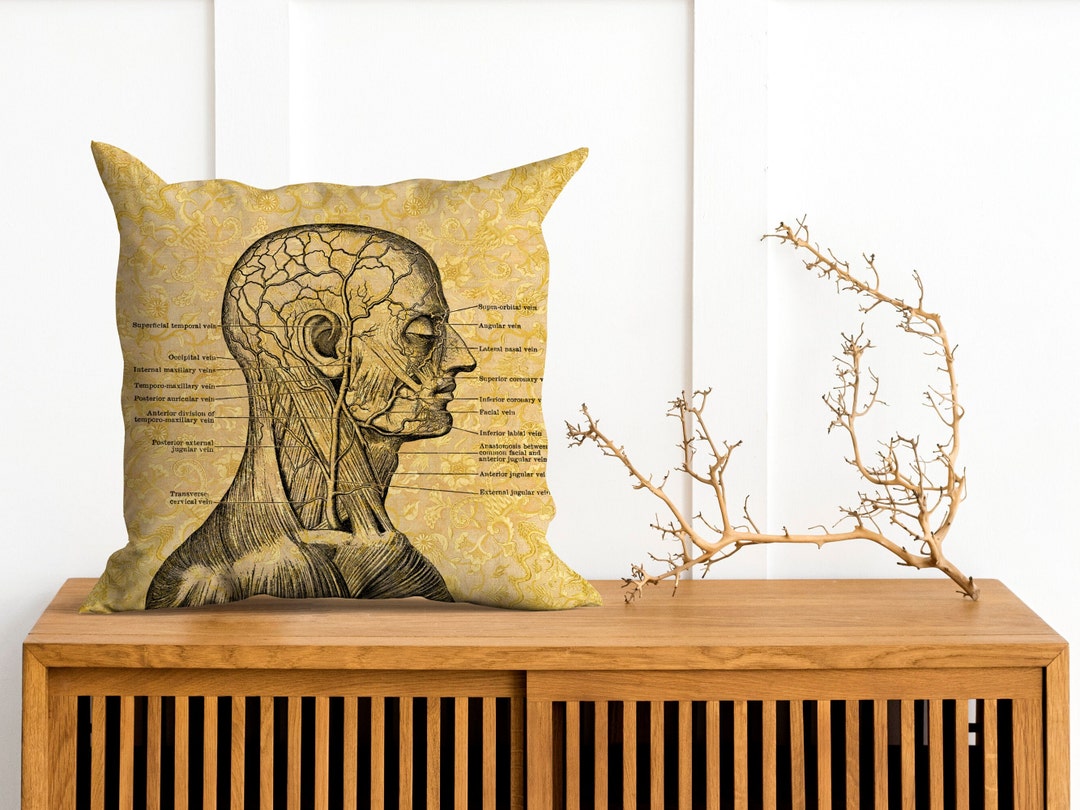 Anatomy Vintage Print Cushion. Anatomy of the Head Pillow. Soft Faux Suede Fabric. Etsy