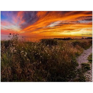Coucher de soleil sur la côte est - Lot de 10 cartes postales (États-Unis et Californie)