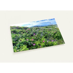 Lot de 10 cartes postales Phare de la Nouvelle-Écosse (États-Unis et Californie)