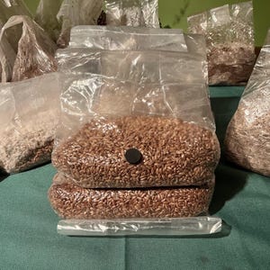 May include: Several clear plastic bags filled with brown grains, stacked together. A small, round, black object is attached to the front of the bags. Other bags filled with similar grains are visible in the background.