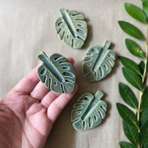 May include: Four ceramic monstera leaf-shaped objects in shades of green and blue. The leaves have detailed veining and are arranged on a neutral background. A sprig of green leaves is in the background.