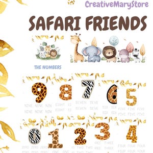 Tarjetas de números para calcar | Preescritura para niños | Actividades preescolares Montessori en PDF