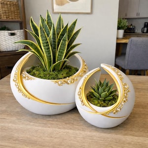 Peut inclure: Deux jardinières sphériques blanches avec des bordures dorées et des ornements de bijoux. L'une contient une plante serpent avec des feuilles vertes et jaunes, l'autre une petite succulente. Les deux sont remplies de mousse verte.