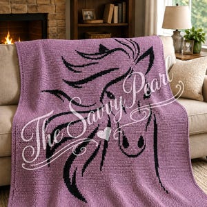 Horse afghan, PATTERN, graph and word instructions, PDF digital download