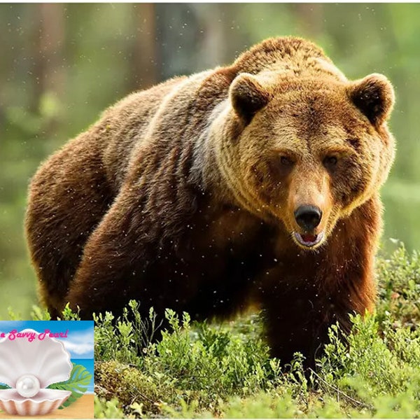 Cross-Stitch PATTERN, pdf download of Terrifying Bear, diy project, easy, gift ideas, wildlife, grizzly, kodiac, Alaska, wilderness