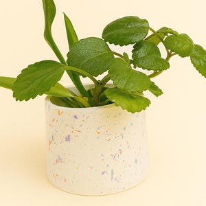 DIY Terrazzo Planter Kit Eco Resin Pot Mold Beginner Craft Set | Modern Home Decor Gift Idea