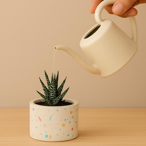 Puede incluir: Una pequeña regadera crema vierte agua sobre una pequeña planta suculenta en una maceta blanca. La maceta está decorada con motas de colores. La suculenta tiene hojas a rayas verdes y blancas. El fondo es de color neutro.