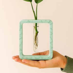 Puede incluir: Un jarrón de propagación rectangular verde menta con efecto mármol, que contiene un tubo de vidrio transparente con un esqueje de planta. La planta tiene hojas verdes y raíces visibles. El jarrón se sostiene en una mano, con un fondo neutro.
