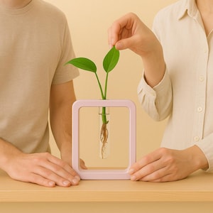 Puede incluir: Un jarrón cuadrado rosa claro que contiene una pequeña planta con hojas verdes. La planta está en un tubo de vidrio transparente. El jarrón está sobre una superficie marrón claro.