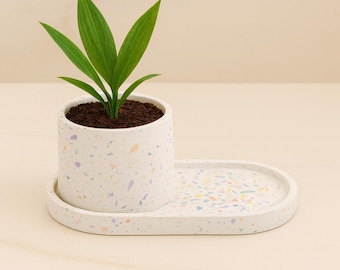 Terrazzo Tray & Planter DIY Kit Bundle Handmade Home Decor Gift