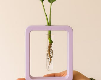 May include: A modern, lavender-colored, square-framed vase holding a small plant with two green leaves. The plant's roots are visible inside a clear glass tube. The vase is held in a person's hand.