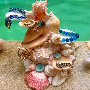 Schelpensieradendisplay