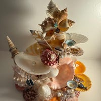Shell Jewelry Display - Etsy
