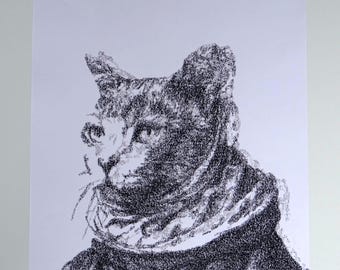 El gato de Durero - adición 2