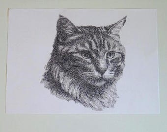 El gato de Durero: un gráfico único