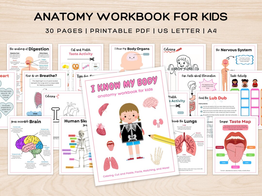 Human Anatomy Activity Workbook for Kids | Girl Busy Book Printable ...