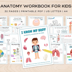 May include: A set of children's anatomy workbooks, with the main title "ANATOMY WORKBOOK FOR KIDS." The central workbook cover says "I KNOW MY BODY" with illustrations of body parts and a child. The workbooks include coloring, cut and paste activities.