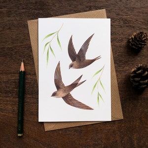 Swifts Greetings Card Bird Art Notecard British Wildlife Illustration image 1