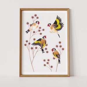 Goldfinches Giclée Art Print | Signed Print of Original Painting, A4 | British Wildlife Illustration