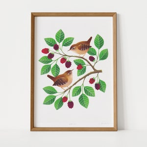 Wrens Giclée Art Print | Signed Print of Original Painting, A4 | British Wildlife Illustration | Bird Wall Art | Birder Gift