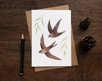 Swifts Greetings Card | Bird Art Notecard | British Wildlife Illustration