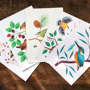Cartes postales d'oiseaux | Ensemble de 5 oiseaux britanniques | Cartes postales A6 recyclées/Mini impressions d'art