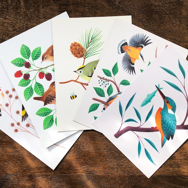 Bird Postcards | Set of 5 British Birds | Recycled A6 Postcards / Mini Art Prints