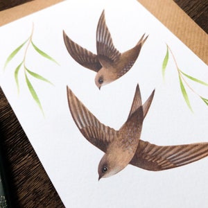 Swifts Greetings Card Bird Art Notecard British Wildlife Illustration image 2