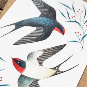 Swallows Greetings Card Bird Art Notecard Valentine's Day, Anniversary, Wedding image 2