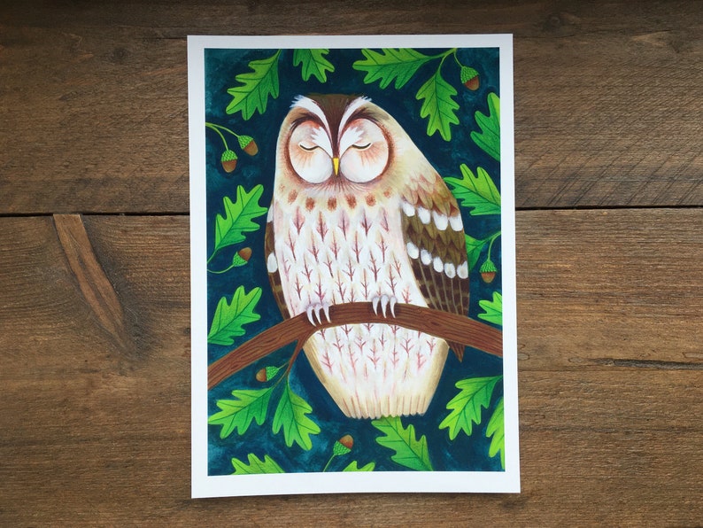 Sleeping Tawny Owl Art Print Signed Giclée Print of Original Painting, A4 Nursery Wall Art image 1