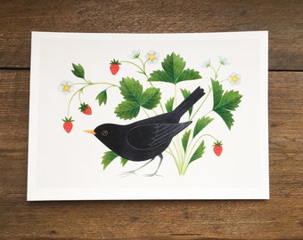 Blackbird + Strawberries | Giclée Art Print | Signed Print of Original Painting, A4 | Bird Wall Art | Birder Gift