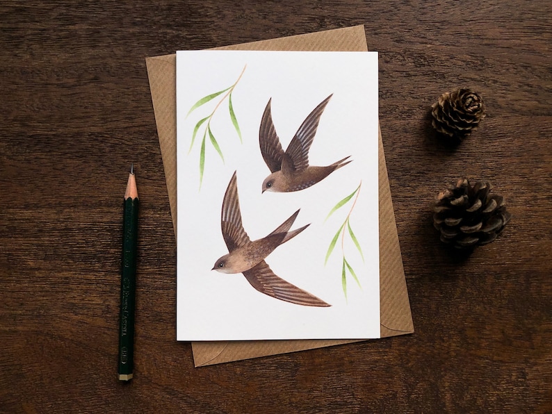Swifts Greetings Card Bird Art Notecard British Wildlife Illustration image 1