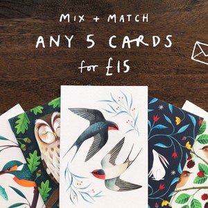 5 cartes au choix - Choisissez votre propre sélection | Cartes de voeux illustrées | Oiseaux britanniques / Art animalier