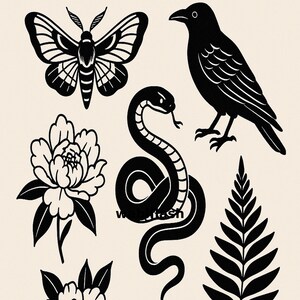 May include: Black and white illustrations of a moth, raven, snake, peony flowers, fern, and lotus flower. The images are in a tattoo style, with bold lines and a minimalist aesthetic. The background is a light beige colour.