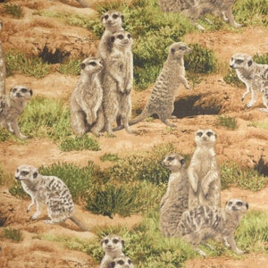 Adorable Meerkats in the Desert Print Pure Cotton Fabric--By the Yard