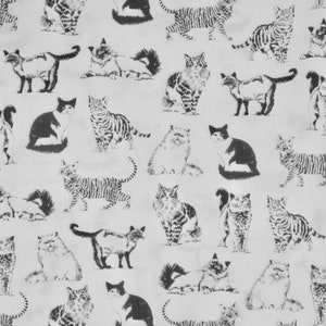 Clever Sketchy Cat Breeds Stampa tessuto di puro cotone da Timeless Treasures - tagliato a misura