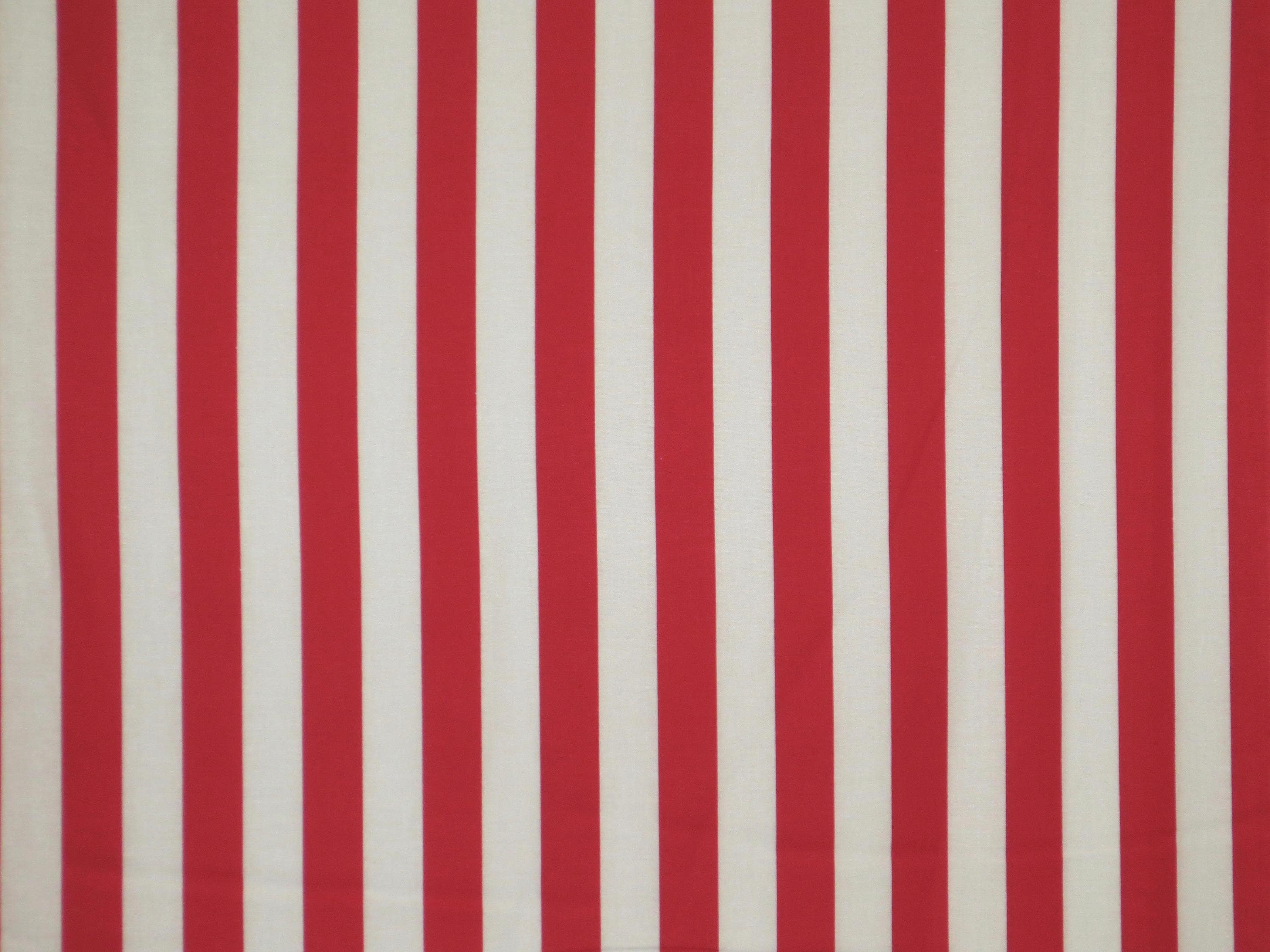 RED　ストライプ Bright Red and White 7/8
