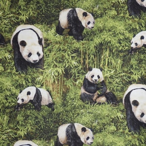 Cutest Pandas in Bamboo Print Pure Cotton Fabric--By the Yard