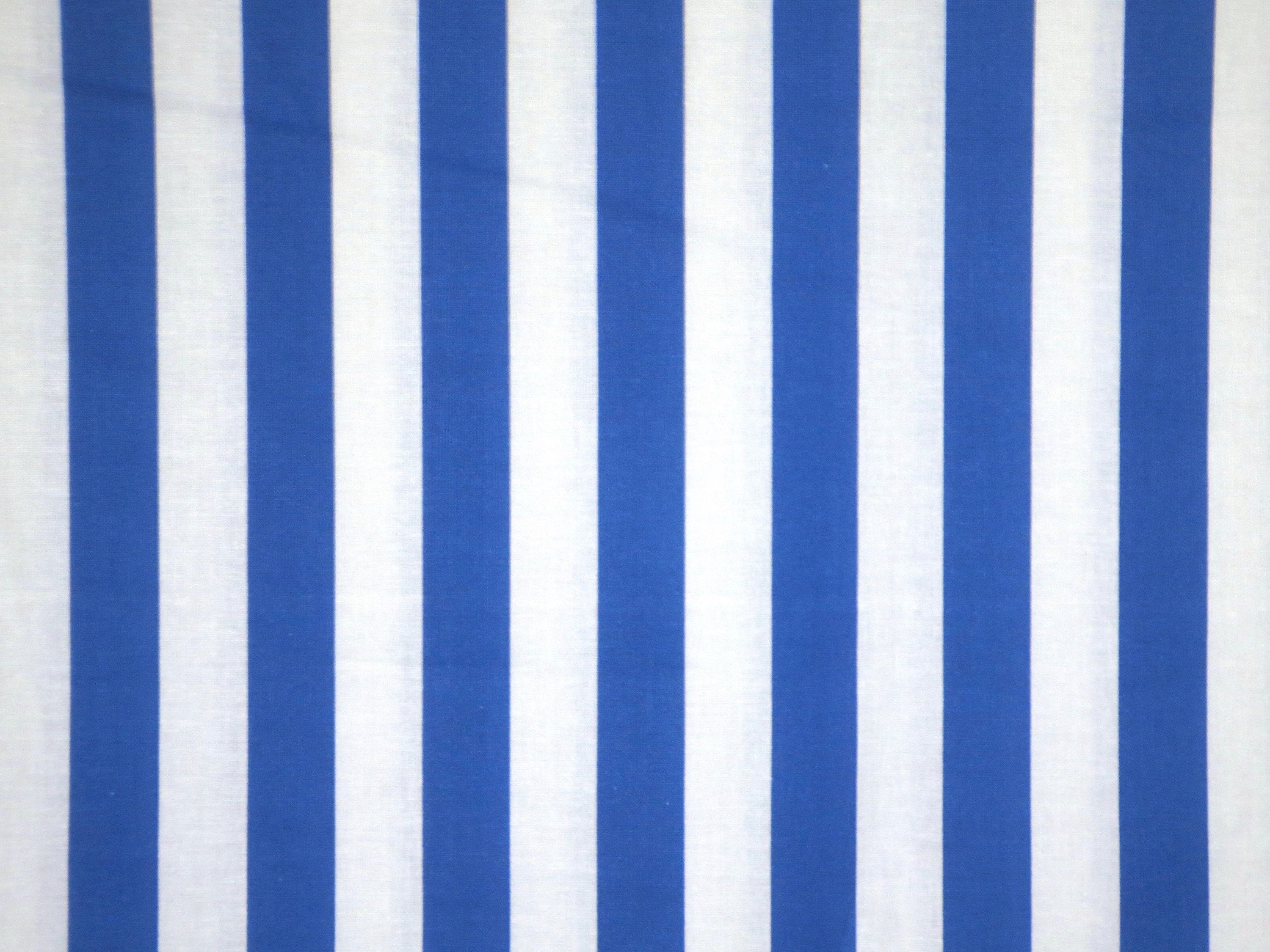 Blue Striped Shirt 