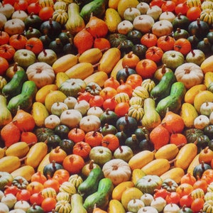 Colorful Packed All Kinds of Squash Digital Food  Print Pure Cotton Fabric from Windham--By the Yard