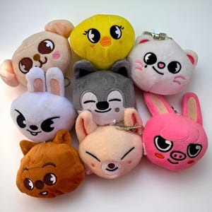 Skzoo Plushie Keychains